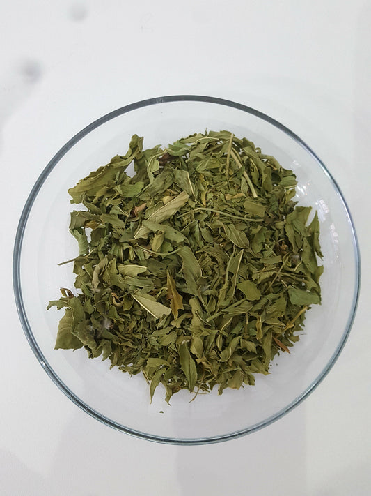 Persische Nana-Minze