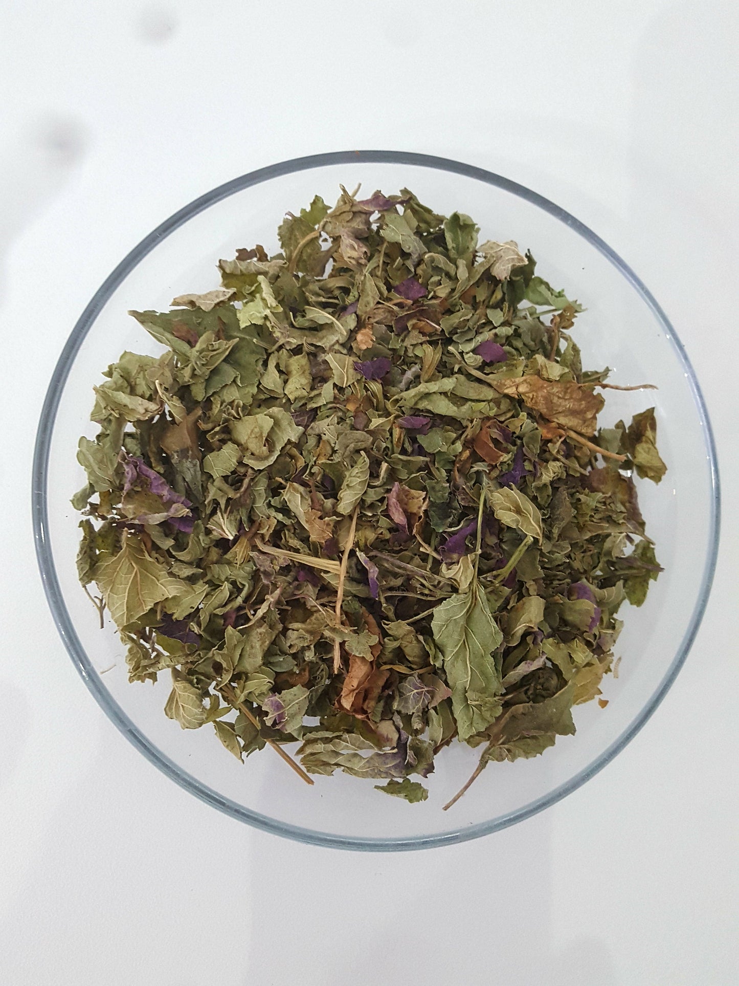 Persische Zitronenmelisse