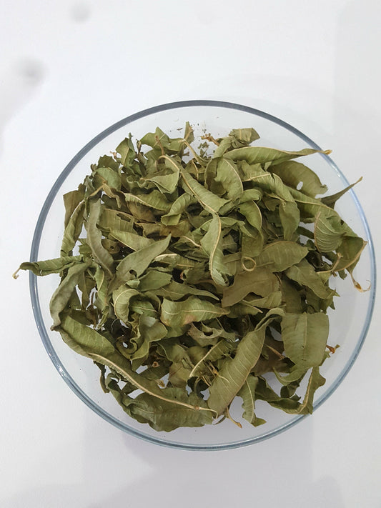 Persische Zitronenverbene